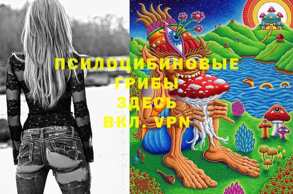 2c-b Волосово