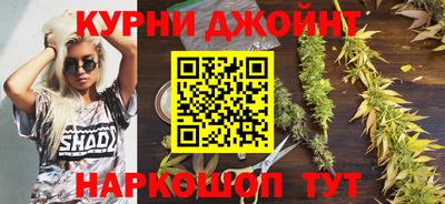ECSTASY Камышлов