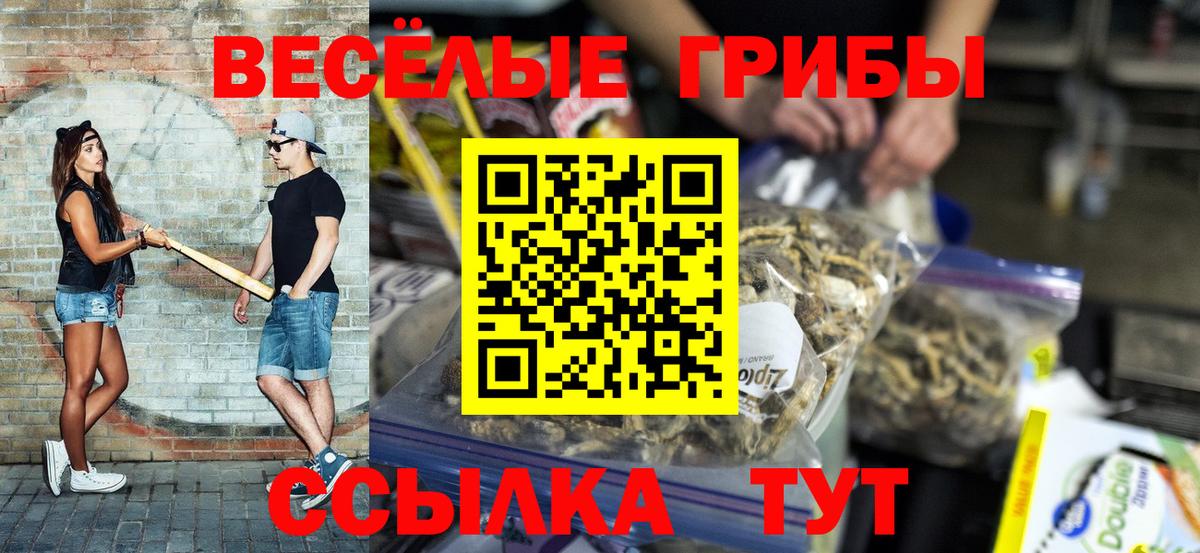 Псилоцибиновые грибы прущие грибы Нальчик