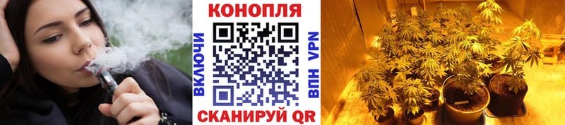 Конопля планчик  Нальчик 