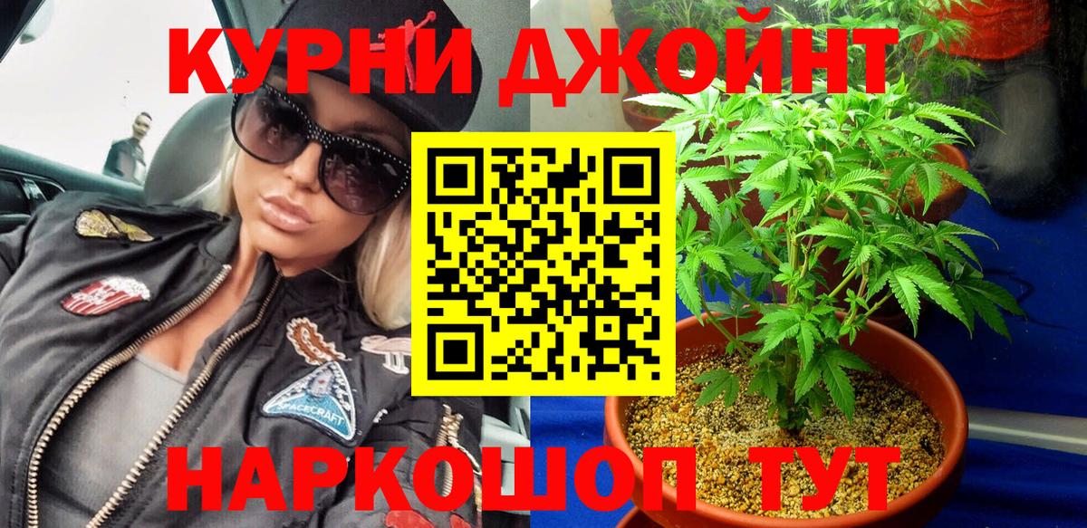 Канабис OG Kush Нальчик